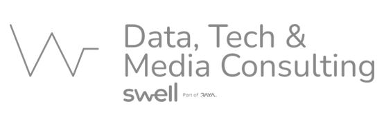 Data, Tech $ Media Consulting
